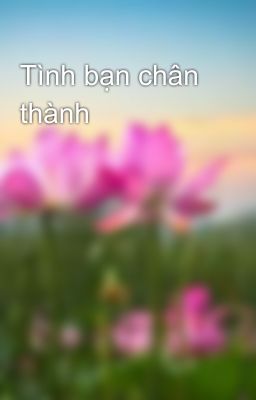 Tình bạn chân thành