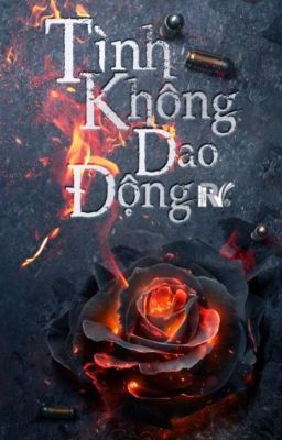 Tình không dao động