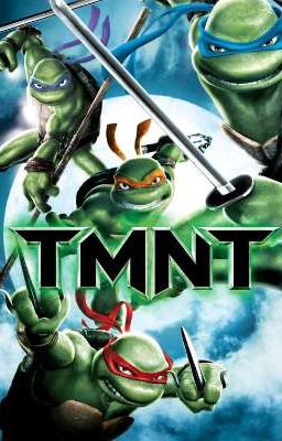 TMNT (2007) Raphael x reader