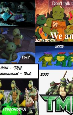 TMNT 2014/2016 - The New Clan Guardería unidimensional - RxL MxD