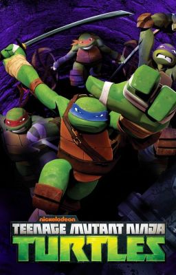 TMNT x Male reader (Discontinued)