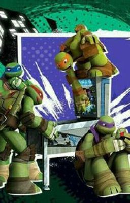 TMNT x Reader Oneshots