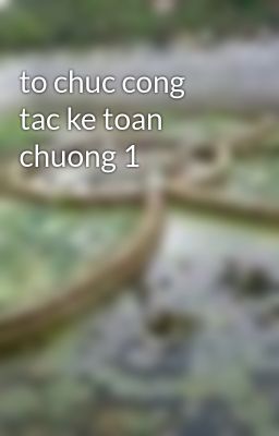 to chuc cong tac ke toan chuong 1