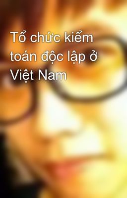 Tổ chức kiểm toán độc lập ở Việt Nam