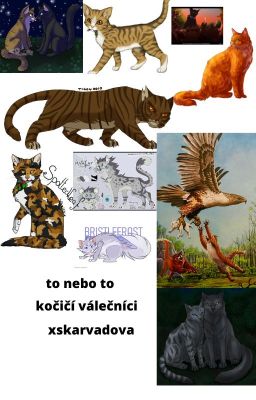 To, nebo To? Kočičí válečníci