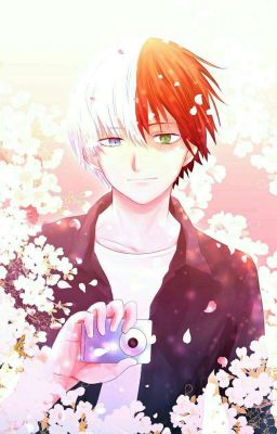 Todoroki Shouto × Reader 《C'è Una Piccola Speranza?》