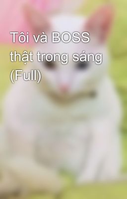 Tôi và BOSS thật trong sáng (Full)