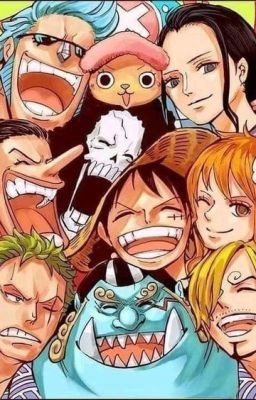 Tổng Hợp One Piece Doujinshi