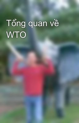 Tổng quan về WTO