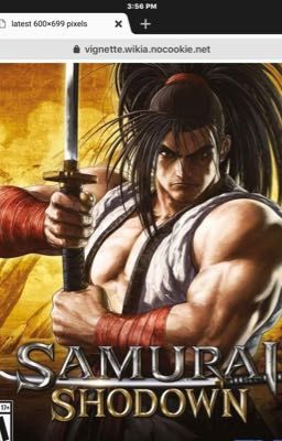 Top 20 Samurai Shodown Characters