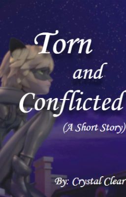 Torn and Conflicted (A short MLB fanfic)