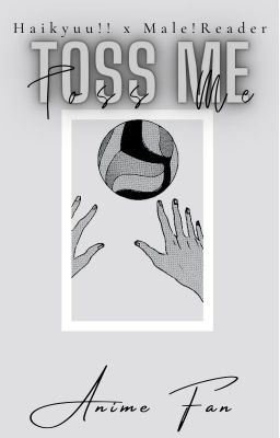 Toss Me |Haikyuu!! x Male!Reader| One-Shots