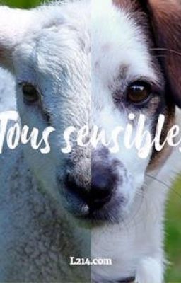 Tous sensibles