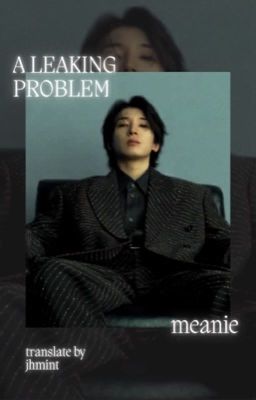 [trans] meanie | a leaking problem