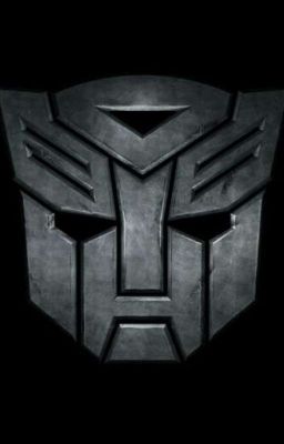 Transformers One Shots