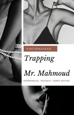 Trapping Mr. Mahmoud