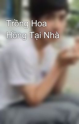 Trồng Hoa Hồng Tại Nhà