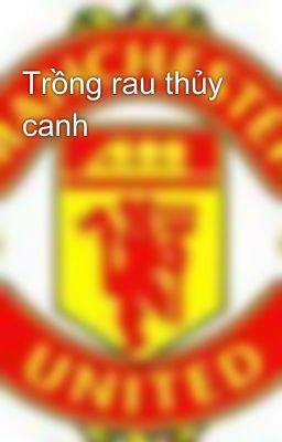 Trồng rau thủy canh