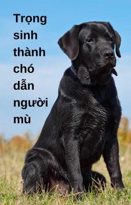 Trọng sinh thành chó dẫn người mù - không QT