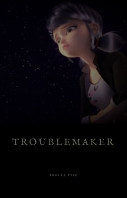 Troublemaker