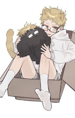 Tsukishima biến thành trẻ con rồi!!! 🔞