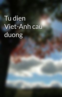 Tu dien Viet-Anh cau duong