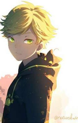 Tu en mi cuerpo y yo en tu cuerpo (Adrien/Chat Noir x Tu)