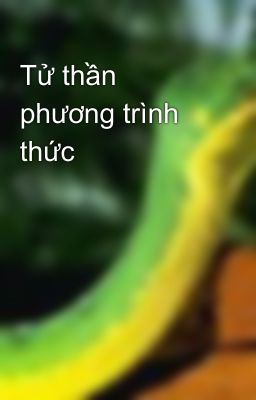 Tử thần phương trình thức