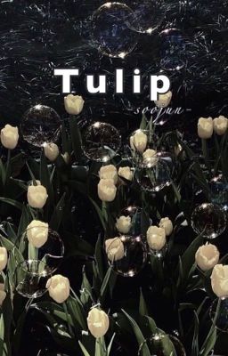 Tulip | Soojun