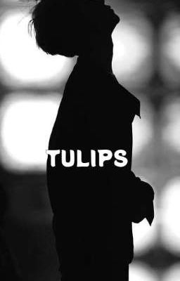 Tulips (pjm.jjk) 