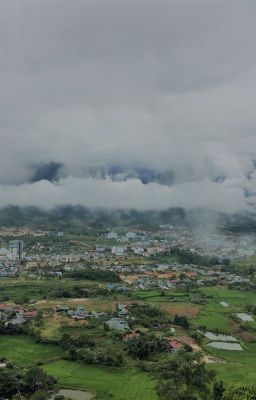 Tuổi học trò