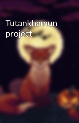 Tutankhamun project