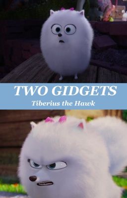 Two Gidgets