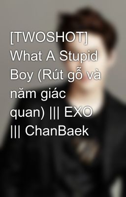 [TWOSHOT] What A Stupid Boy (Rút gỗ và năm giác quan) ||| EXO ||| ChanBaek