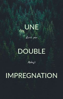 UNE DOUBLE IMPREGNATION