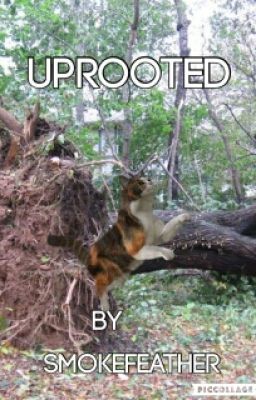 Uprooted (An Interactive Warriors Fanfiction)