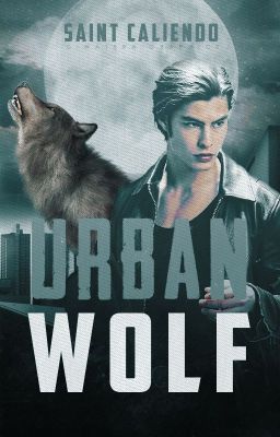 Urban Wolf | ✓