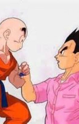 Vegeta x Krillin