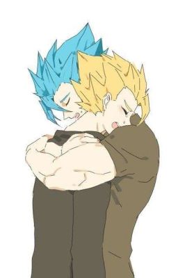 [ Vegetto x Gogeta ] Sao Lại Là Tôi?