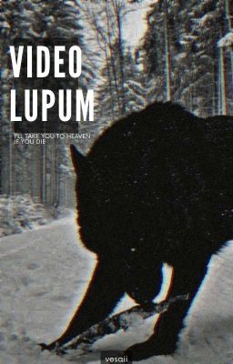 ✓ - video lupum • oneshot