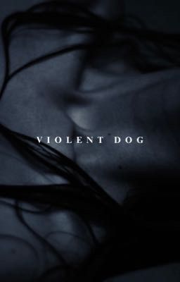 VIOLENT DOG - pjo