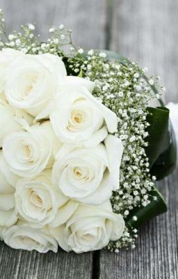|Vkook||Longfic|Bông hoa màu trắng