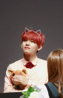 ][VKOOK] Thỏ ngốc của Hổ