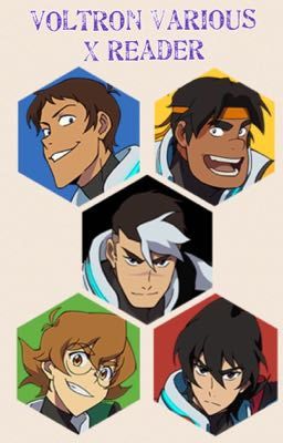 Voltron various X Reader [On Hiatus]