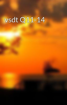 vsdt Q11-14