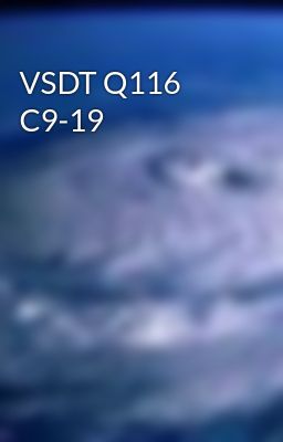 VSDT Q116 C9-19