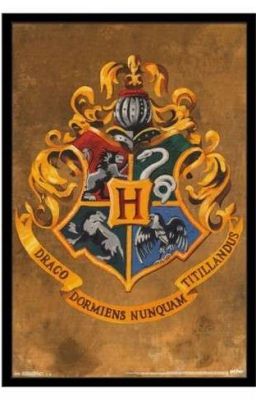 [Vtrans] Seventeen in Hogwarts