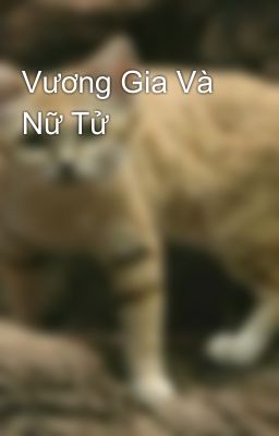 Vương Gia Và Nữ Tử 