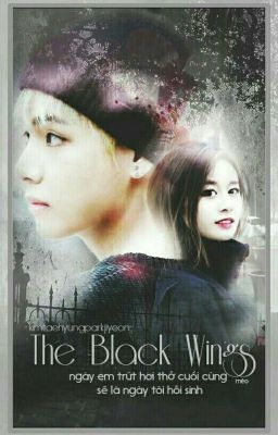 《Vyeon》 The Black Wings