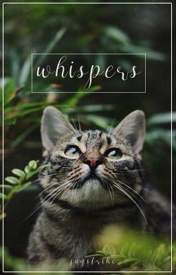 w h i s p e r s  ❊  warrior cats